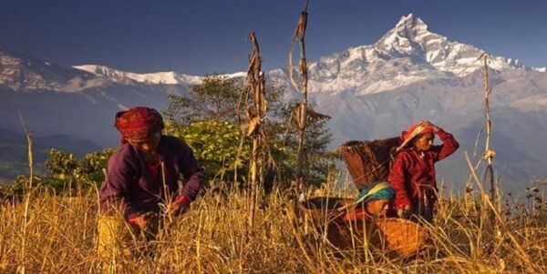 Private Highlight Tour to Explore the Entire Pokhara City - Questions You May Have