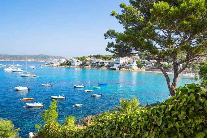 Private Highlights of the Palma and North Coast of Mallorca - Natural Wonders and Scenic Views
