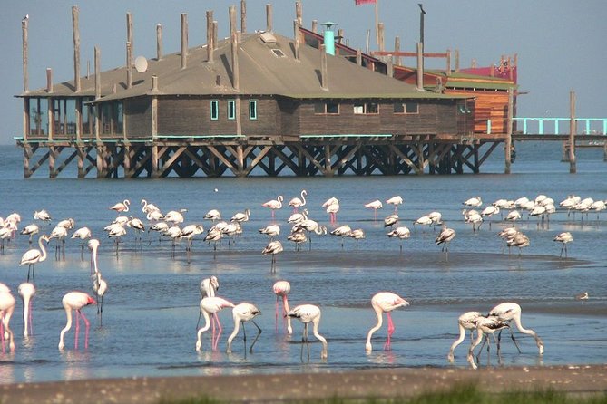 Private Highlights of Walvis Bay Tour - Booking Details