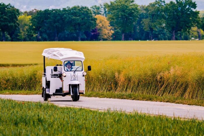 Private Highlights Top Places Tour Electric TukTuk 1h15 - Booking and Cancellation Policy