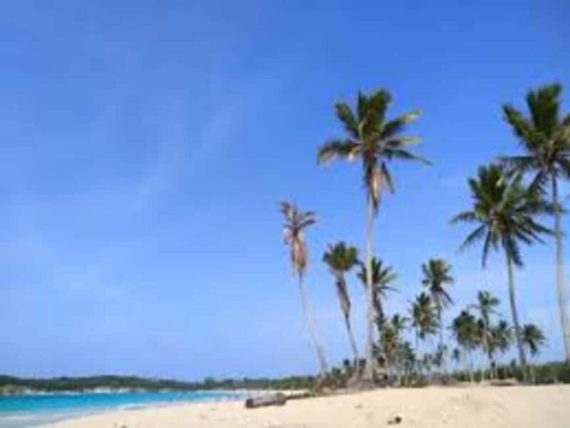 Private Higuey City Tour - A Complete Guide to the Higuey Private Tour