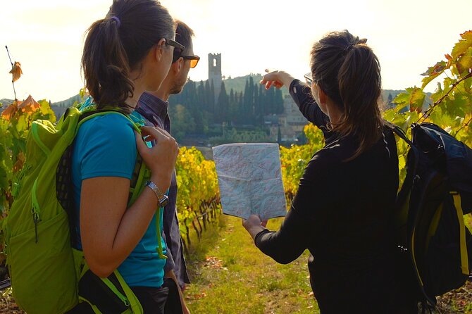 Private Hike and Wine Experiences in Chianti - What Makes Chianti Hike & Wine Unique?
