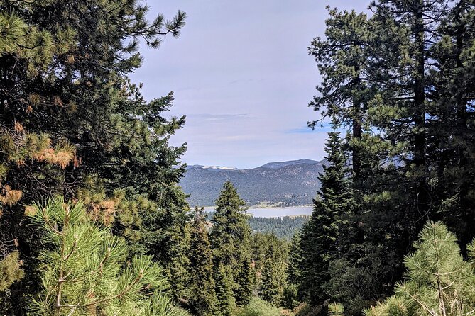 Private Hike in Big Bear With Lake Swimming Experience - The Sum Up