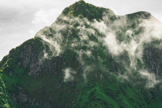 Private Hike St Kitts: Highest Peak Mount Liamuiga Volcano - What Reviewers Say