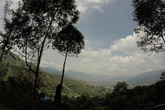 Private Hike Through La Miel Natural Reserve - Overview of La Miel Natural Reserve