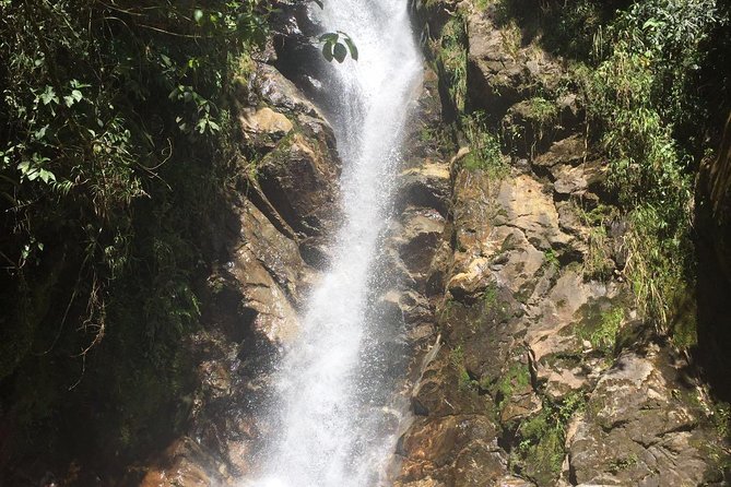 Private Hike Through La Miel Natural Reserve - Hiking Routes and Trail Highlights