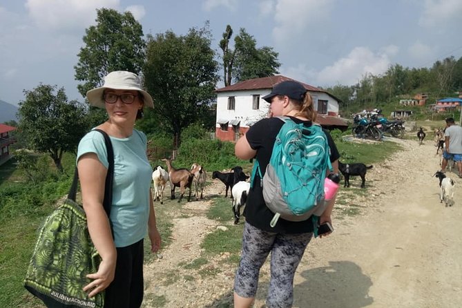 Private Hike to Kalika From Pokhara Nepal - What to Expect