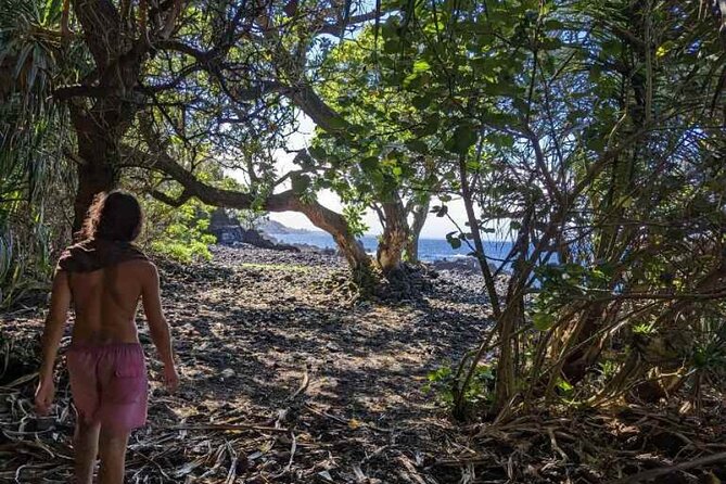 Private Hike To Secret Jungle Tide Pool - Challenging Terrain