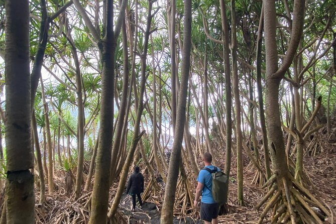 Private Hike To Secret Jungle Tide Pool - Local Perspective and Breathtaking Views