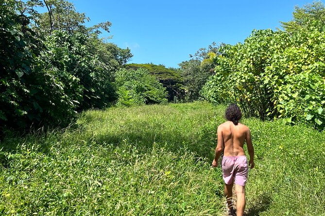 Private Hike To Secret Jungle Tide Pool - Directions