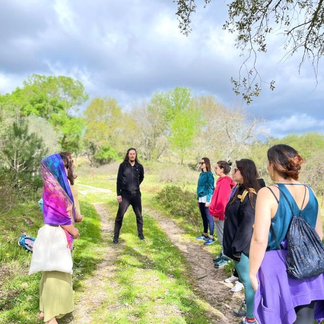 Private Hike With Meditation at the Top of the Mountain - Activity Description