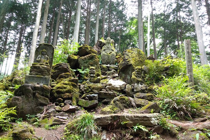 Private Hiking Activity Near Tokyo - Additional Information for the Hiking Activity