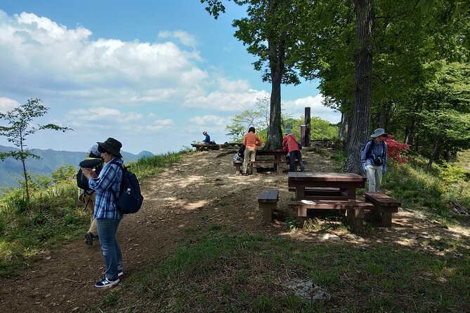 Private Hiking Activity Near Tokyo - Cancellation Policy for the Hiking Activity
