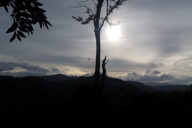 Private Hiking Adventure to the Little Adam's Peak And Nine Arches Bridge. - Cancellation Policy Details