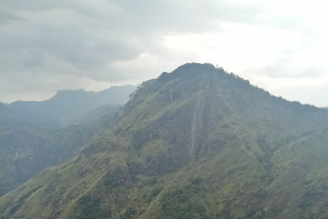 Private Hiking Adventure to the Little Adam's Peak And Nine Arches Bridge. - Traveler Photos (If Available)