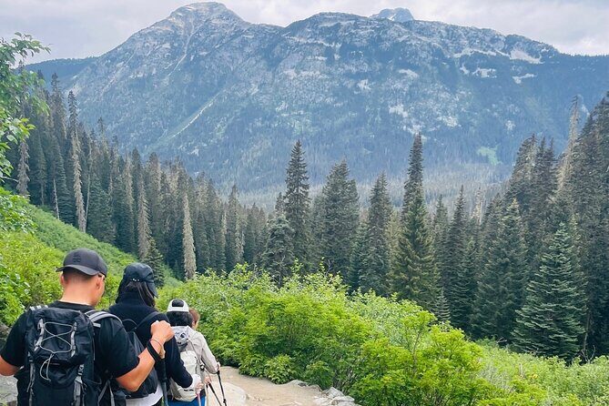 Private Hiking Day tour of Joffre Lakes Park - Who Should Consider This Tour?  