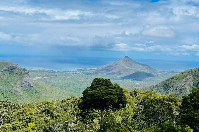 Private Hiking Experience in Black River Gorges National Park - Provider Information