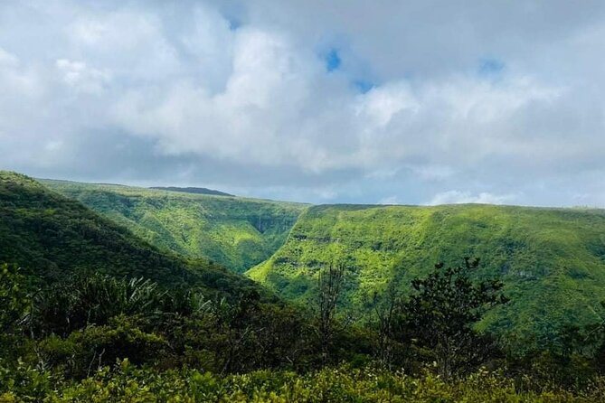 Private Hiking Experience in Black River Gorges National Park - Frequently Asked Questions
