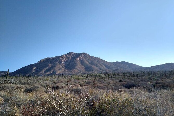 Private Hiking in La Paz - What to Expect on the Hike