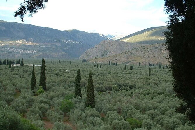 Private Hiking on Azure Beaches and Unspoiled Olive Groves - What to Expect