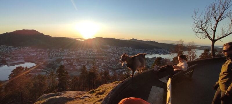 Private hiking tour Bergen mountains like a local - Good To Know