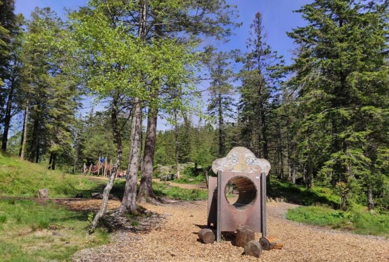 Private hiking tour Bergen mountains like a local - Practical Tips for Your Hike