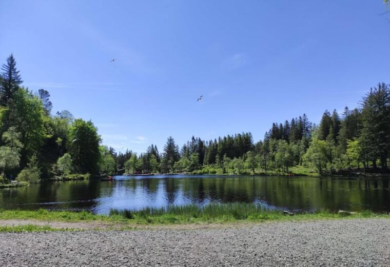 Private hiking tour Bergen mountains like a local - The Sum Up