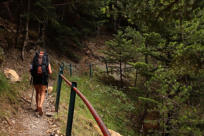 Private Hiking Tour in Athens at The Peak of Taygetos Mountain - Tour Itinerary