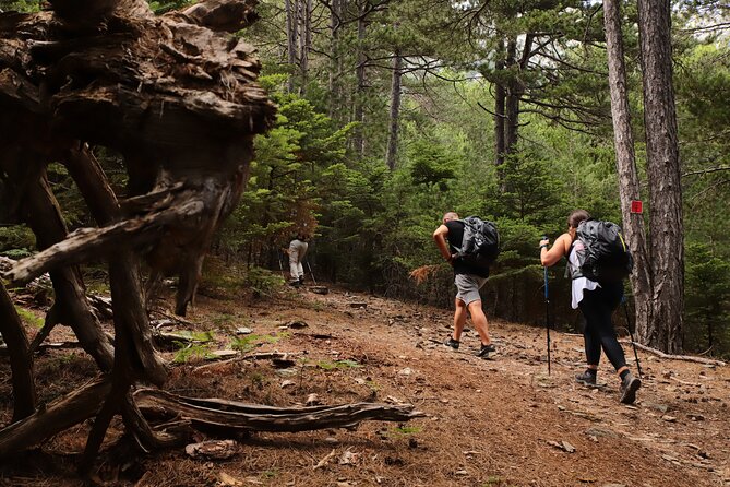 Private Hiking Tour in Athens at The Peak of Taygetos Mountain - What to Bring