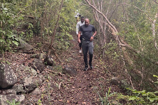 Private Hiking Tour in British Virgin Island with the Best 360 View - The Itinerary in Detail