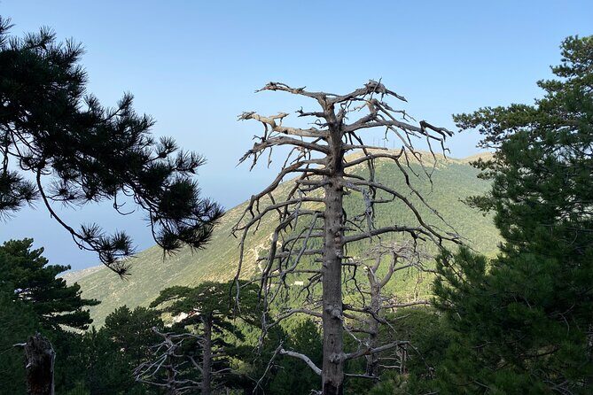 Private Hiking Tour in Çika Mountain - FAQ