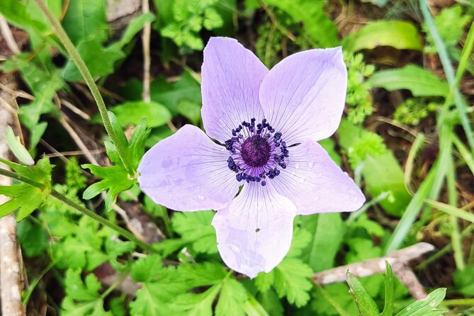 Private Hiking Tour in Gramvousa Peninsoula From Kissamos - Start Time and Arrival Details