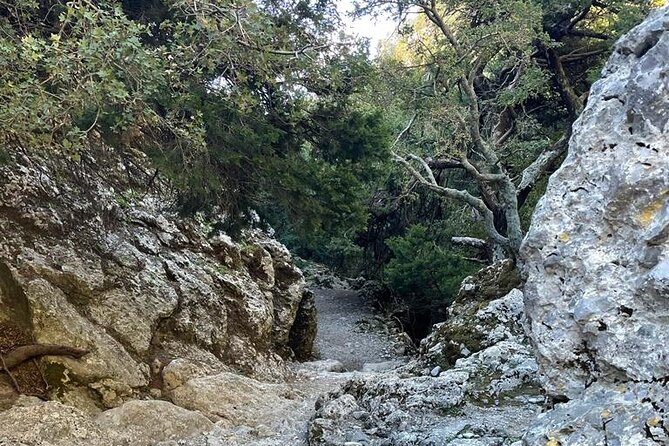 Private Hiking Tour in Imbros Gorge (Chania) - Cancellation and Refund Policy