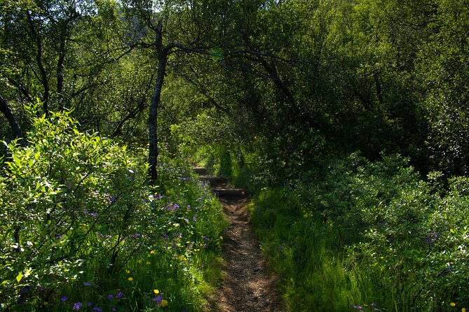 Private Hiking Tour in the Valley of Thórsmörk - Immerse Yourself in the Tranquil Beauty of Nature