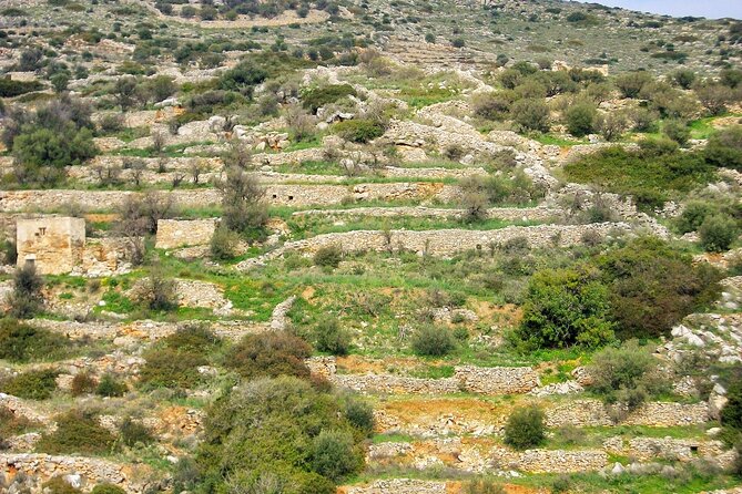 Private Hiking Tour of Lefkes Byzantine Path Ancient Greek Route - Additional Information