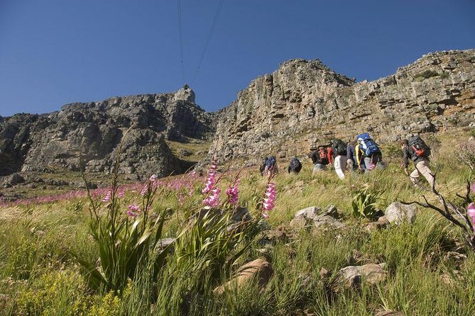 Private Hiking Tour of Table Mountain - Tour Options
