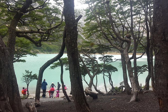Private Hiking Tour to Esmeralda Lagoon and the Lakes Region - Tour Operator and Guide Information