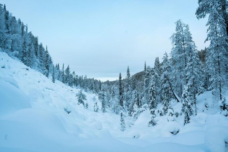 Private Hiking Tour to Frozen Waterfalls in Korouoma Park - Activity Details