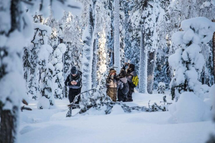 Private Hiking Tour to Frozen Waterfalls in Korouoma Park - Experience Highlights