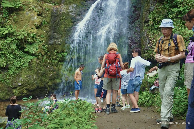 Private Hiking Tour to Mtirala National Park From Batumi - The Sum Up