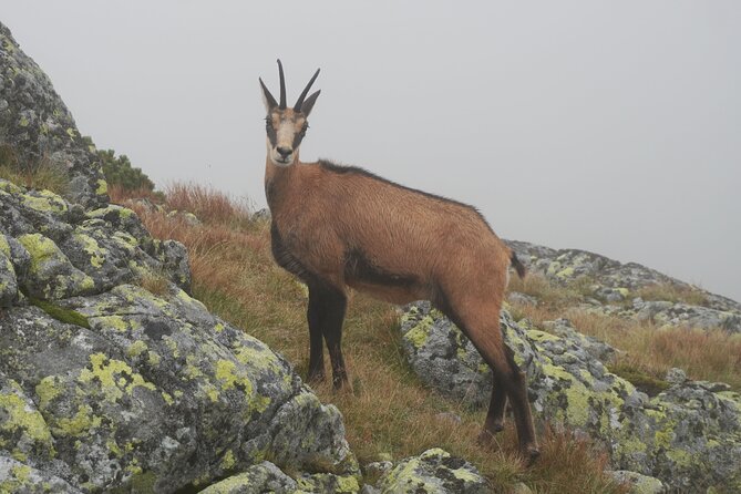 Private Hiking Tour Visit to Slovakia With Licensed Guide - Tour Overview