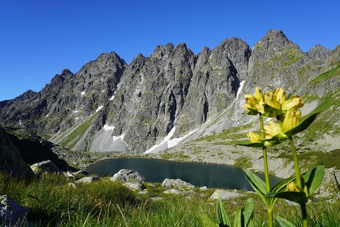 Private Hiking Tour Visit to Slovakia With Licensed Guide - Operating Hours and End Point