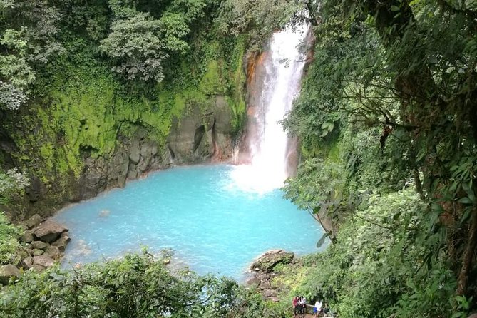 Private Hiking Tour With Swim and Lunch, Tenorio National Park  - Playa Flamingo - Traveler Reviews and Ratings