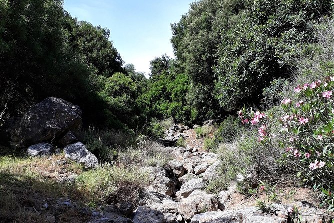 PRIVATE Hiking Walking GORGE Nearby Chersonissos - What to Expect