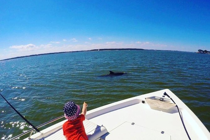 Private Hilton Head Dolphin Tour - Excursion With Personalized Attention