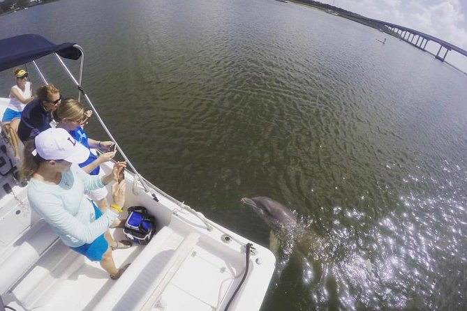 Private Hilton Head Sunset Dolphin Tour - Meeting Point: Palmetto Bay Marina