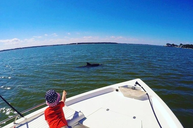 Private Hilton Head Sunset Dolphin Tour - Common Questions