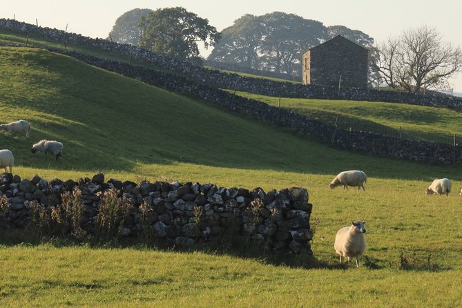 Private Hire: Lake District From Harrogate in 16 Seater Minibus - Pricing Information
