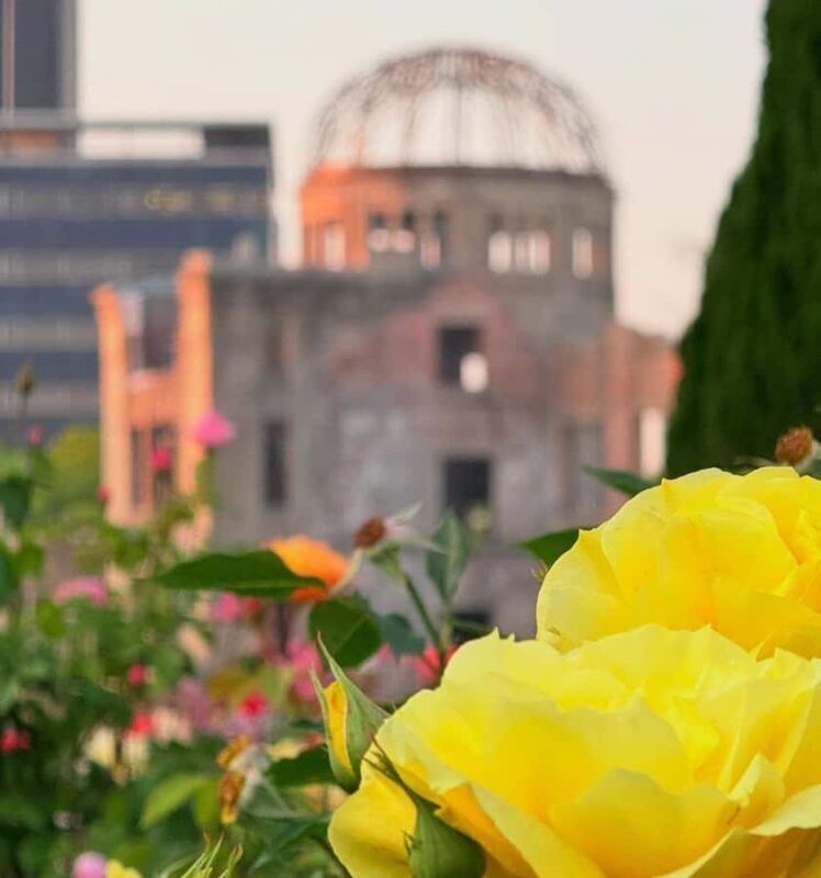 Private Hiroshima Tour in Spanish: History, excitement, and a local guide - Who Will Love This Tour?