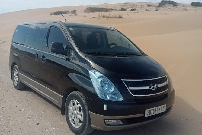 Private Historical and Cultural Half-Day Tour Marrakesh - Tour Highlights